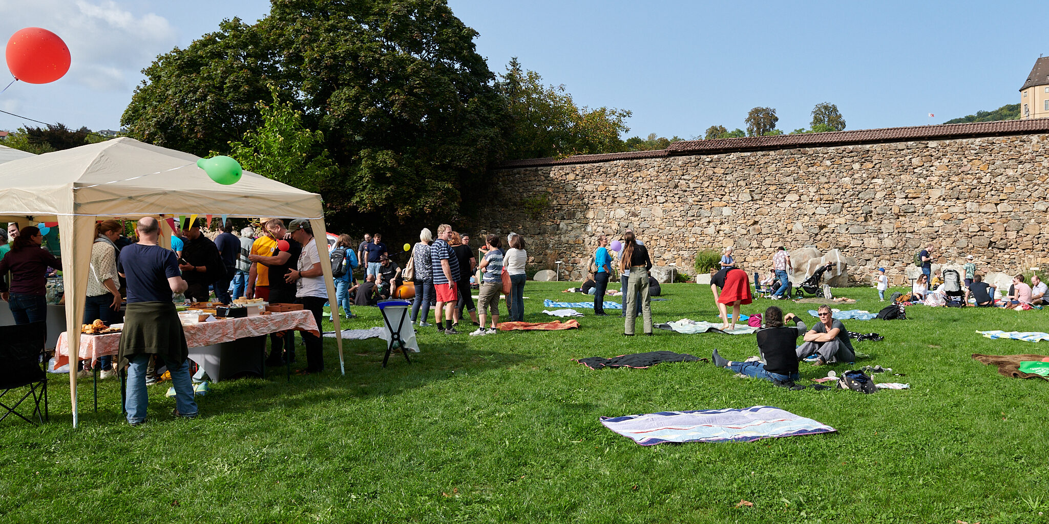 20230930_14-54-59_D85_7853_hackwolf.at_