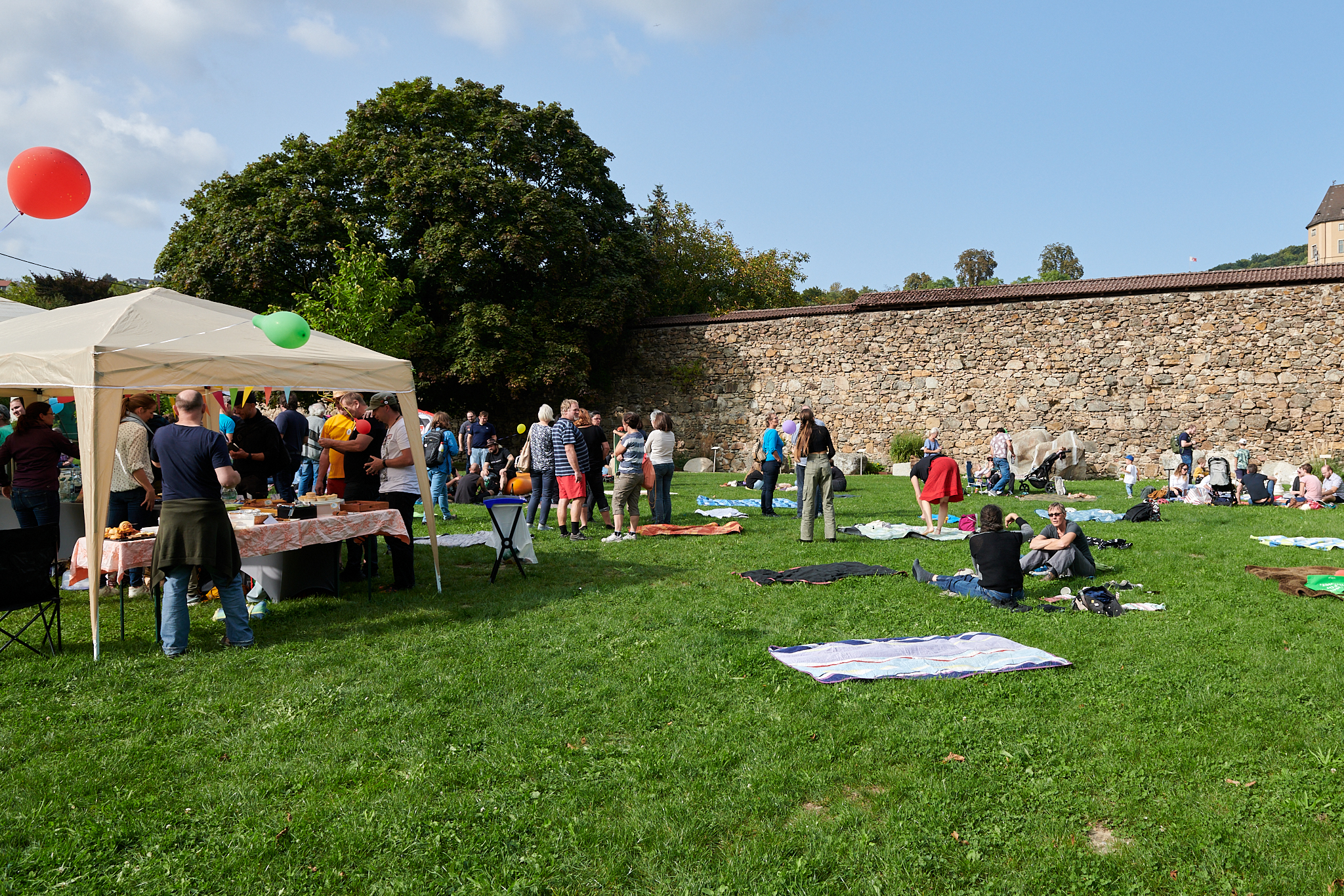 20230930_14-54-59_D85_7853_hackwolf.at_